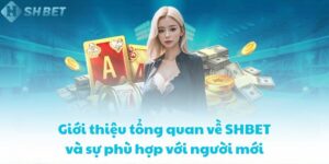 Giới thiệu tổng quan về SHBET và sự phù hợp với người mới